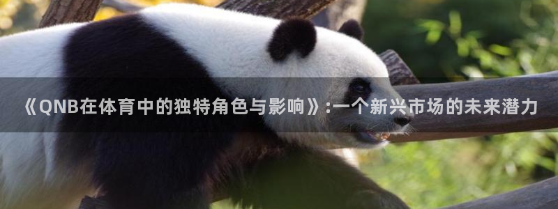 《QNB在体育中的独特角色与影响》:一个