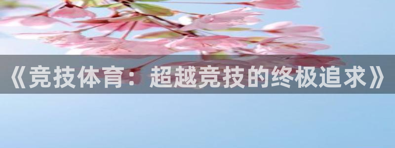 《竞技体育：超越竞技的终极追求》