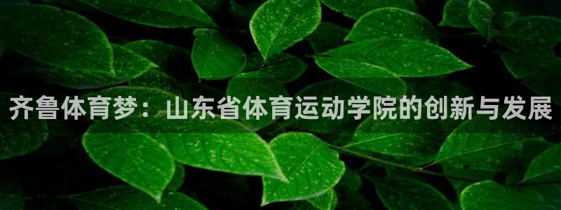 齐鲁体育梦：山东省体育运动学院的创新与发