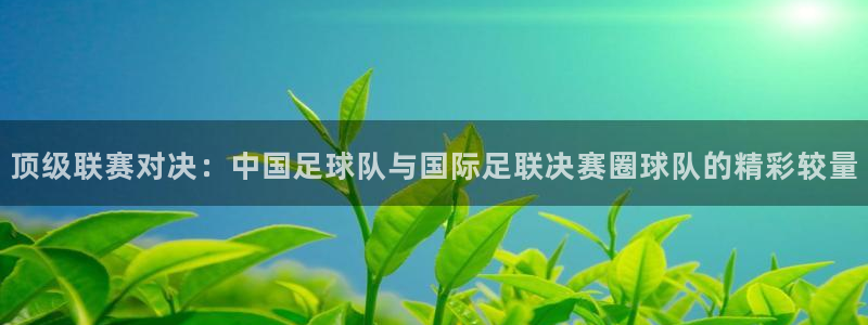 布拉加赛程比分500