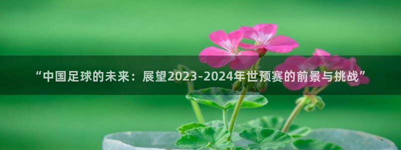 500最新开奖结果