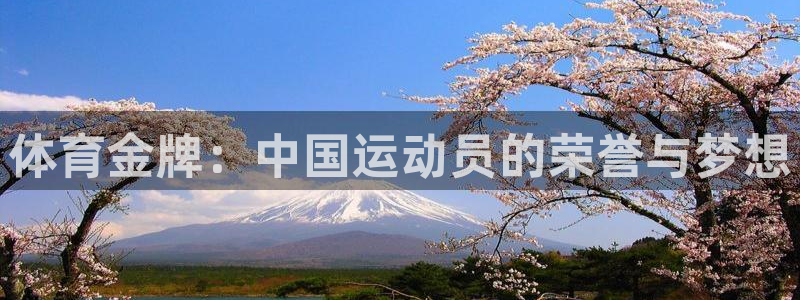 足球比分24500走地数据最新版